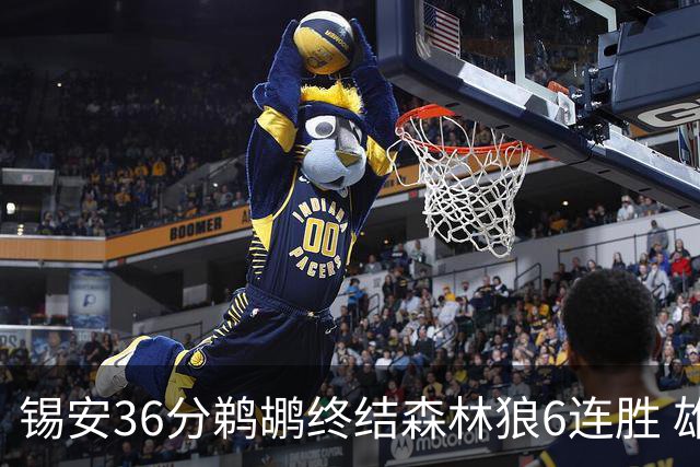 锡安36分鹈鹕终结森林狼6连胜 雄鹿险胜公牛